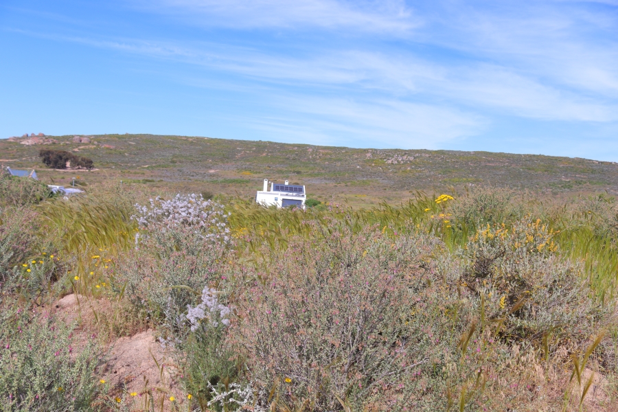 0 Bedroom Property for Sale in Harbour Lights Western Cape
